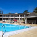 Pool image of Suburban Studios Tallahassee Near University