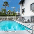Pool image of Super 8 by Wyndham Gainesville I 75 Hospital University Area