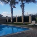 Swimming pool at SureStay by Best Western Hollister