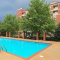 Pool image of The Inn at Ole Miss