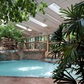 Pool image of The Park Vista a Doubletree by Hilton Hotel Gatlinburg