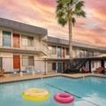 Swimming pool at The Sojourn Los Angeles - Sherman Oaks
