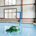 Photo of The Waters of Minocqua Pool