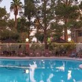 Swimming pool at Westgate Flamingo Bay Resort