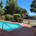 Swimming pool at Wyndham Garden Fremont Silicon Valley