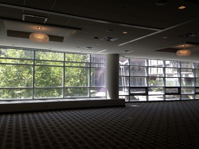 Photo of Magnolia B