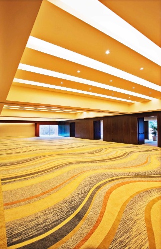 Photo of Junior Balroom