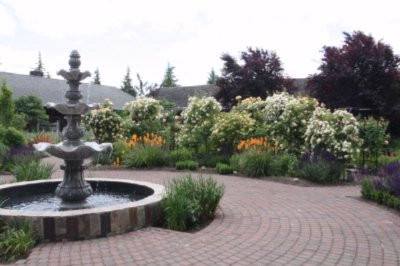 Photo of Cascadia Terrace