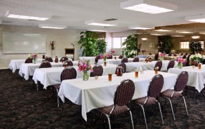Photo of Tree Top Room