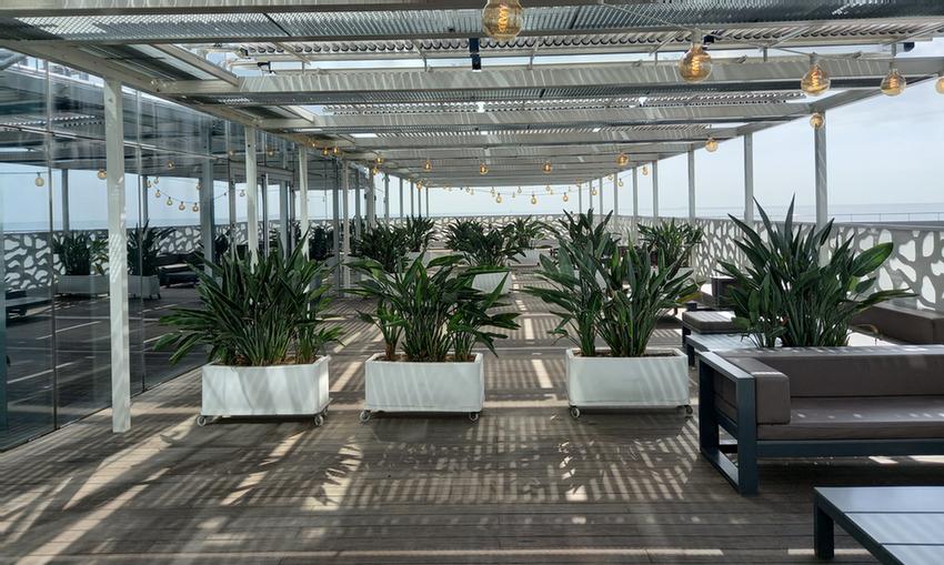 Photo of The Breeze Terrace