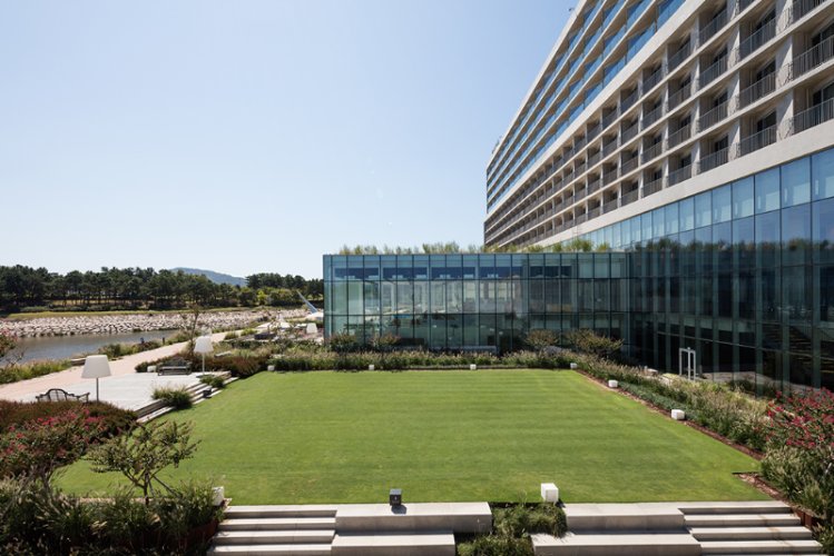 Photo of Garden