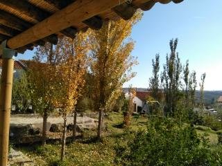 Photo of Telheiro do Monte