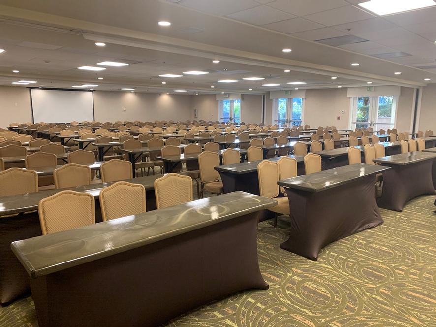 Photo of Forest Room