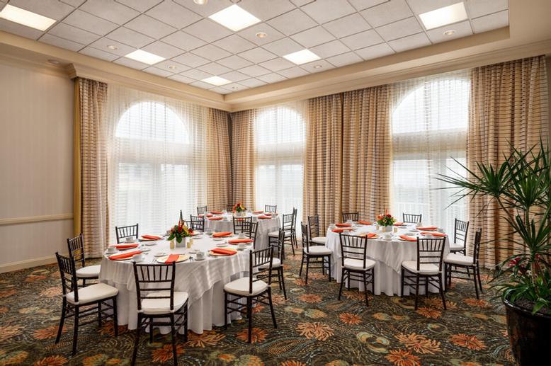 Photo of Areca Palm Meeting Room