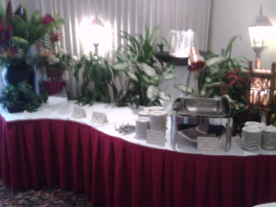 Photo of Orchid