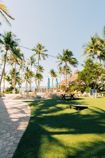 Photo of Reef Lawn 