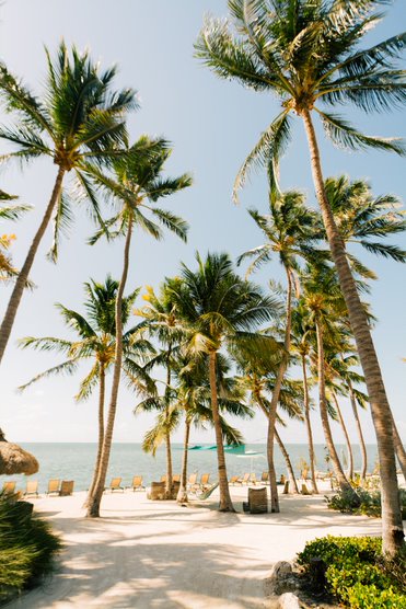 Photo of Palm Aisle Beach 