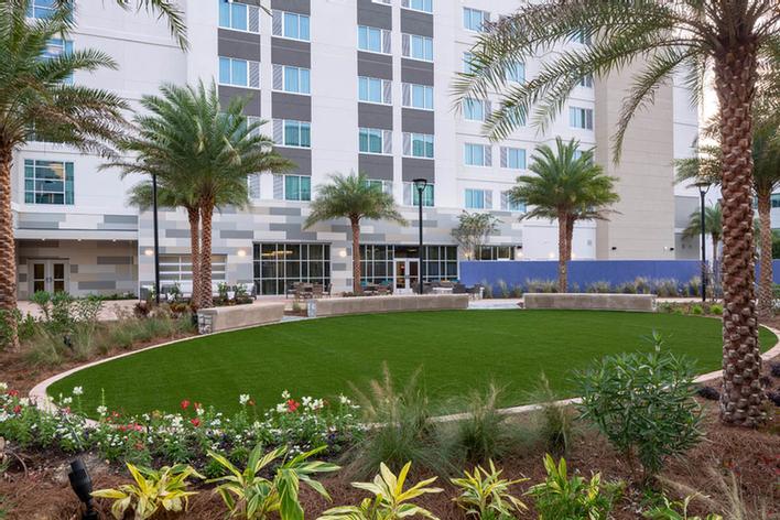 Photo of Palm Tree Oasis