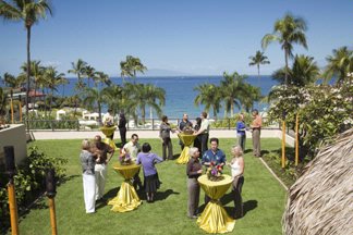 Photo of Plumeria Gardens