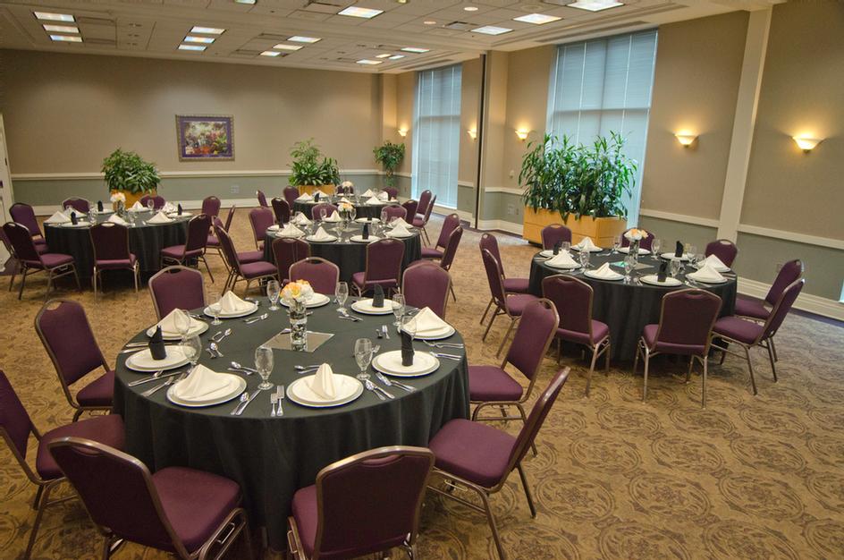 Photo of Tulip Rose Suite