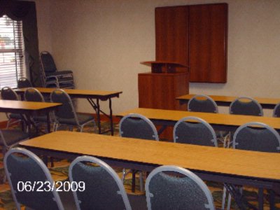 Photo of Palm 2
