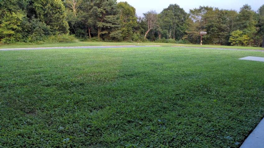 Photo of Open grass space