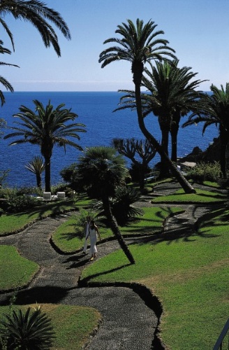 Photo of Palm Garden