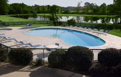 Outdoor Pool 4 of 11