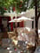 Patio Meeting Space Thumbnail 2