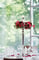 Tessin Meeting Space Thumbnail 3