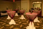Juniper/ Cypress Ballroom Meeting Space Thumbnail 3