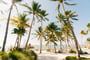 Palm Aisle Beach Meeting Space Thumbnail 2