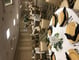 Hall of Wisconsin Meeting Space Thumbnail 3