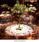 Grand Ball room Meeting Space Thumbnail 2