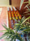 Salon Barcelona Meeting Space Thumbnail 2