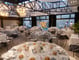 Salon Cupula Meeting Space Thumbnail 2