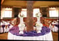 Aspen Ballroom Meeting Space Thumbnail 3