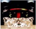 Regency Room Meeting Space Thumbnail 3