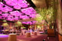 Grand Ball Room Meeting Space Thumbnail 3