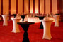 Sofia Grand Meeting Space Thumbnail 3