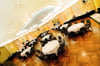 Excelsior+Ambassadeur Meeting Space Thumbnail 1