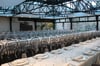 Salon Cupula Meeting Space Thumbnail 1