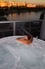 Spa Photos