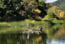 Fly Fishing On Alisal Lake 6 of 21