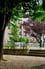 Garden/giardino 3 of 16