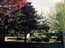 Outdoor Recreation Area 4 of 11