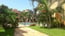 Garden 1 of 11