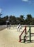 Half Moon\'s Equestrian Centre 5 of 28