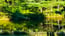 Sanctuary Of The Swan Extended Stay Hotel Alternative Eco Nature Reserve Birdsboro Pa 1 of 10