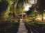 Organic Garden 17 of 18